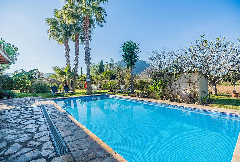 Pool und Palmen vor der Finca mit Terrasse