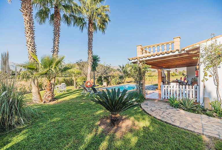 Garten mit Rasen und Palmen am Pool