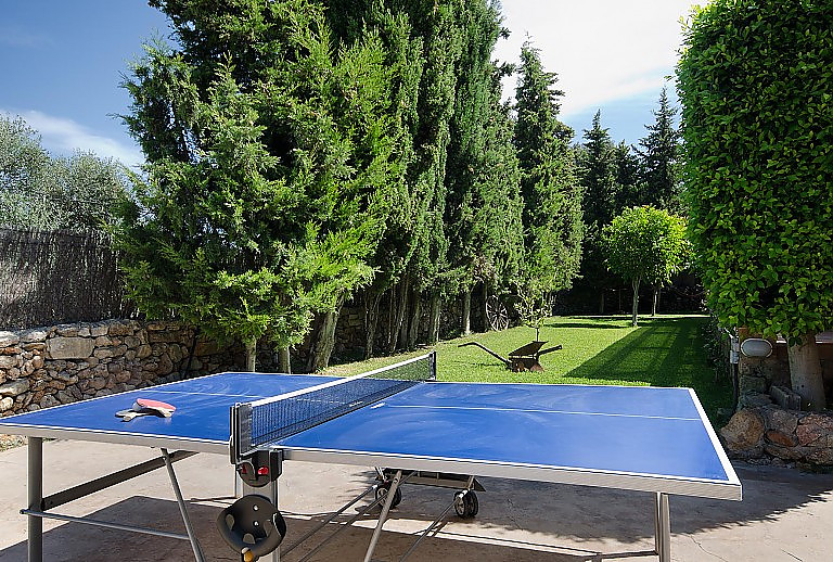 Tischtennisplatte Garten Rasen Büsche Bäume