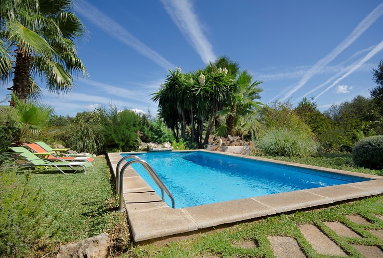 Pool Rasen Kakteen Palmen