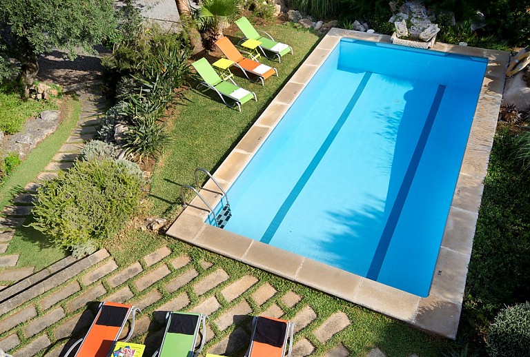 Pool Sonnenliegen Rasen Olivenbaum Pflanzen
