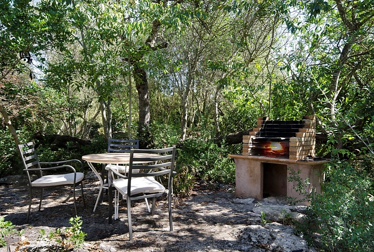 Garten Grill Pflanzen Tisch Gartenstuehle