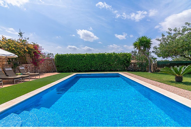 Grundstück Rasen Baum Schatten Pool