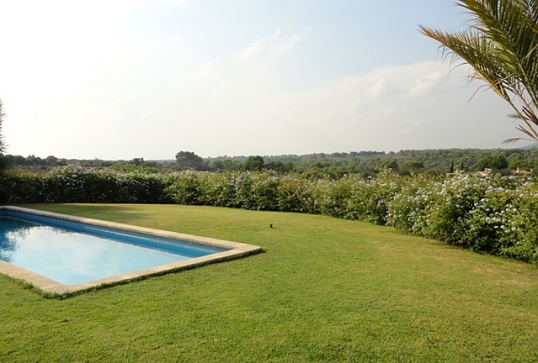 Rasen Pool Himmel Palme Weitblick