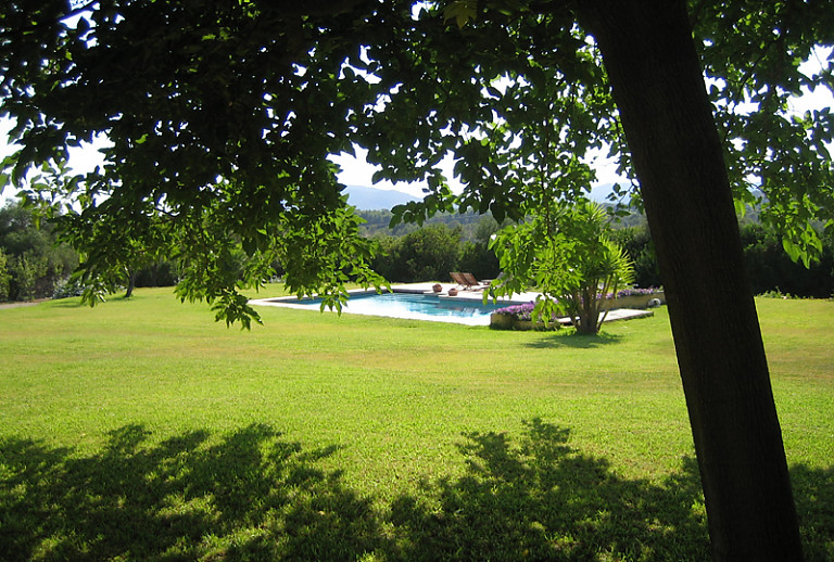 Garten Bäume Pool 