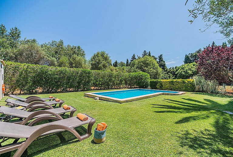 Poolbereich Rasen Pool Sonnenliegen Palme Kakteen