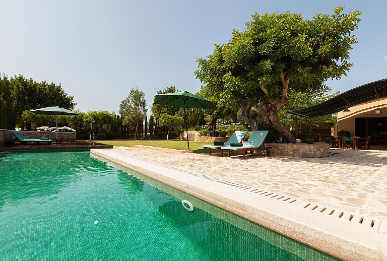 Pool Sonnenliegen Aussendusche Sonnenschirme Terrasse Gartenmoebel Rasen