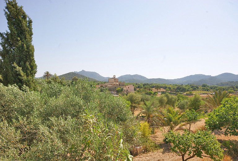 Panoramablick Bäume Berge Himmel