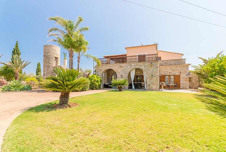 Finca Palmen Rasen Turm