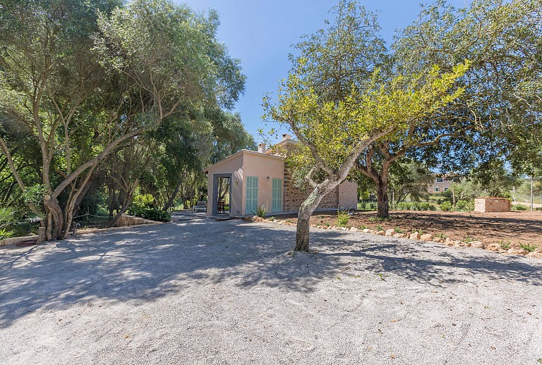 Zufahrt Bäume Finca Grundstück
