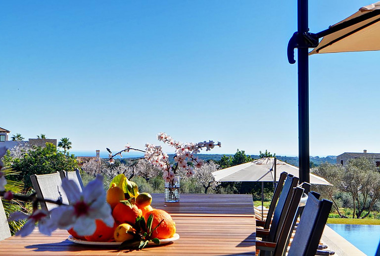Finca Mallorca Portocolom 12 Personen