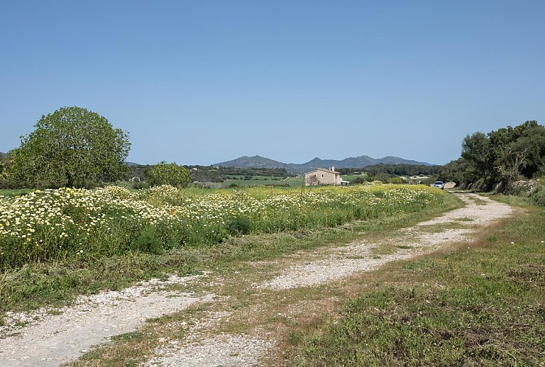 Finca Mallorca Manacor 8 Personen