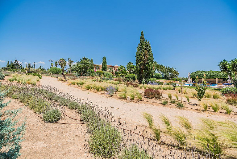 Finca Mallorca Manacor 12 Personen