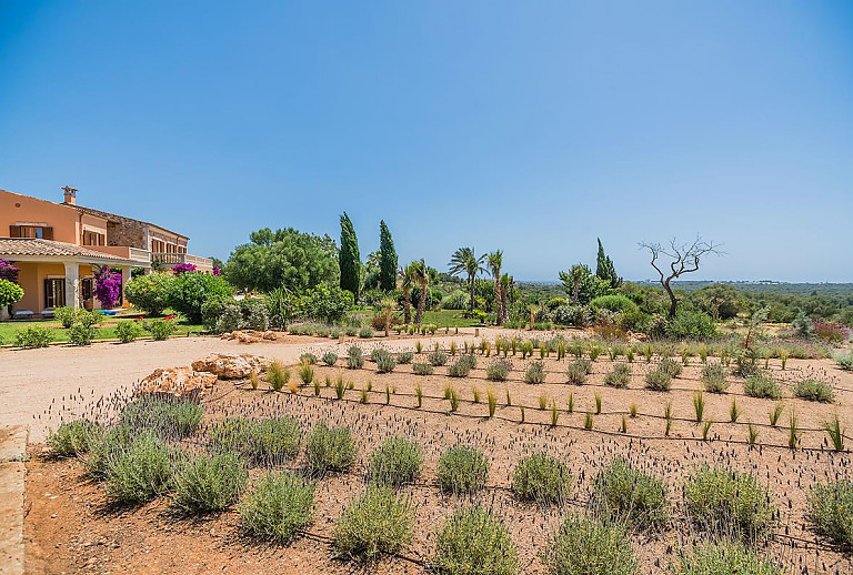 Finca Mallorca Manacor 12 Personen