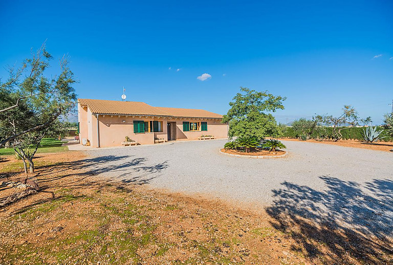 Finca Mallorca Sa Pobla 6 Personen