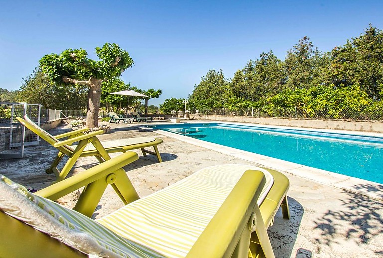 Finca Mallorca Felanitx 6 Personen 