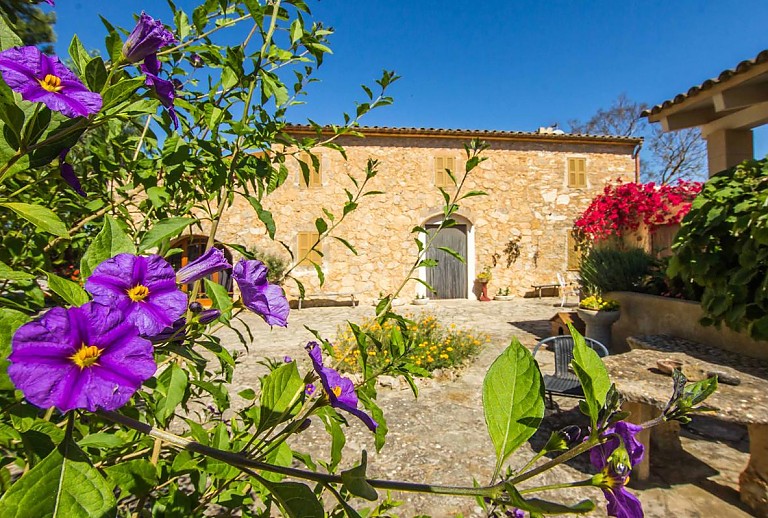 Finca Mallorca Felanitx 6 Personen 