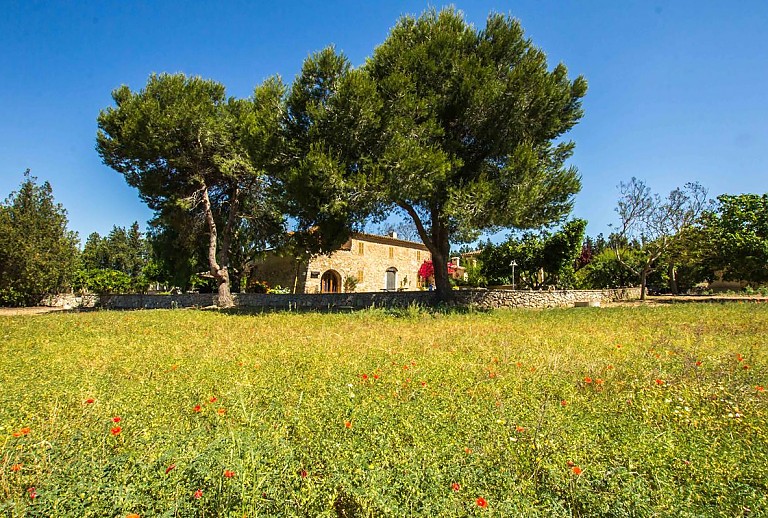 Finca Mallorca Felanitx 6 Personen 