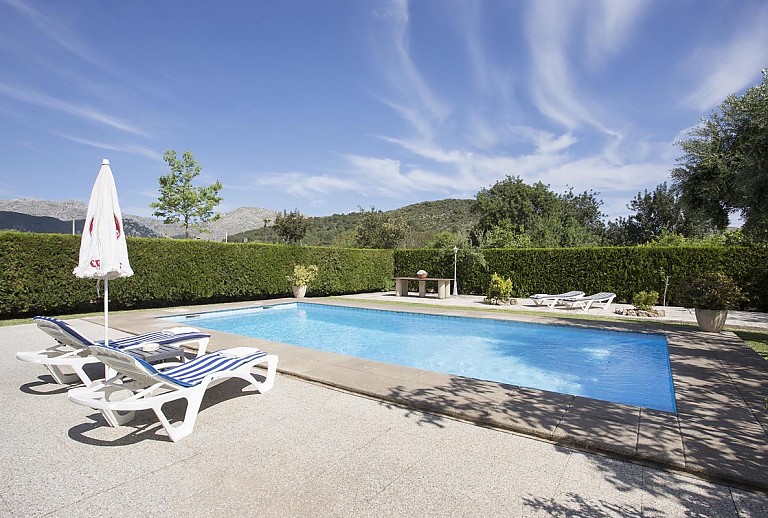 Poolbereich mit Sonnenliegen Schwimmbecken und Pflanzen