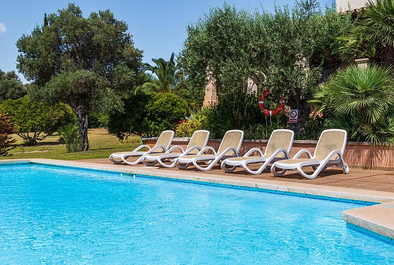Schwimmbecken mit Poolliegen und Bäumen im Hintergrund