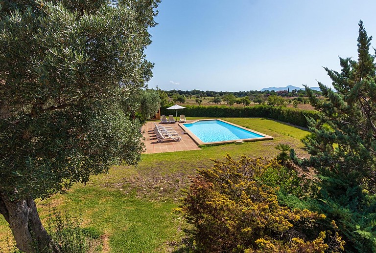 Garten mit Rasen und Bäumen