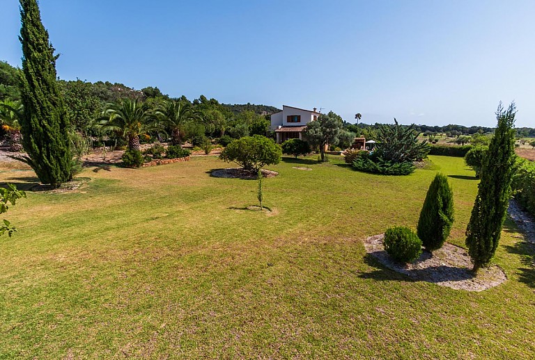 Außenbereich mit großer Rasenfläche und Bäumen