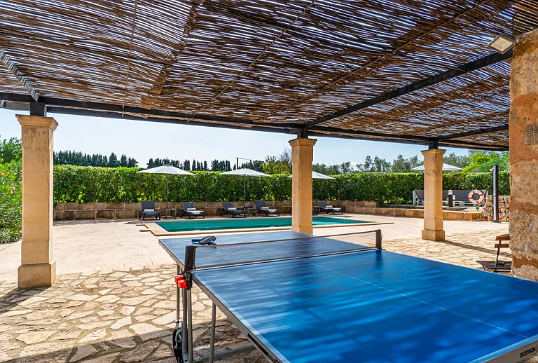 Terrasse mit Blick in den Garten und Bäume