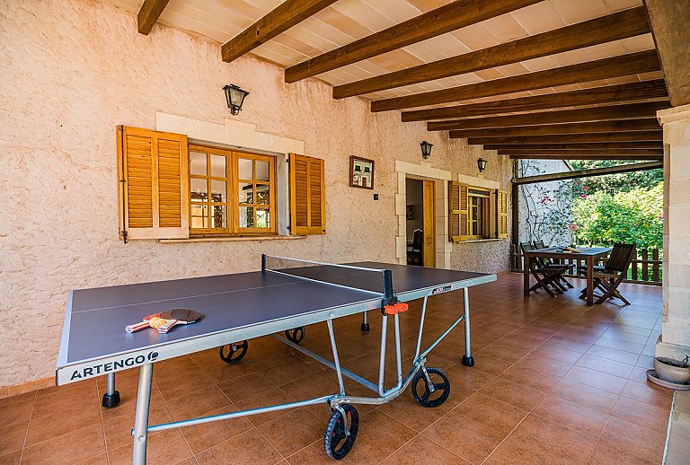 Tischtennisplatte auf der Terrasse mit Vordach