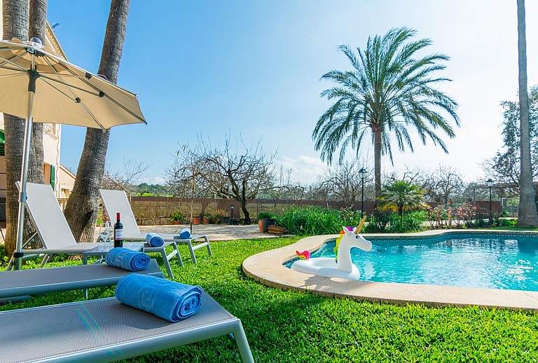 Sonnenliegen Poolbereich vor der Finca mit Palmen und Rasen