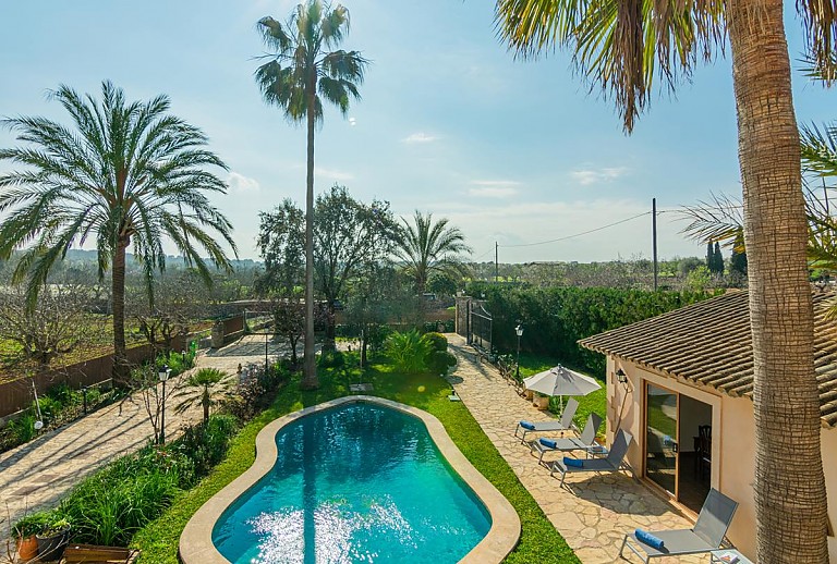 Luftaufnahmen Poolbereich mit Palmen und Rasen und Sonnenliegen