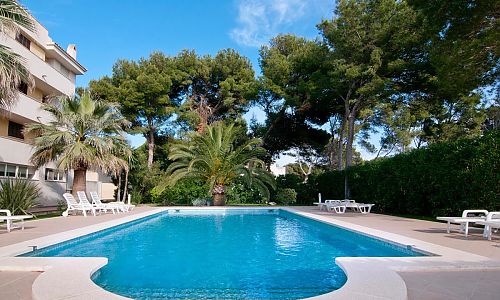 Außenbereich mit Pool Sonnenliegen und Bäumen