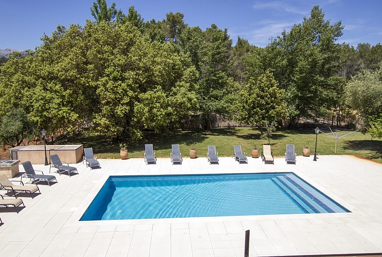 Außenbereich mit Pool Bäumen und Sonnenliegen