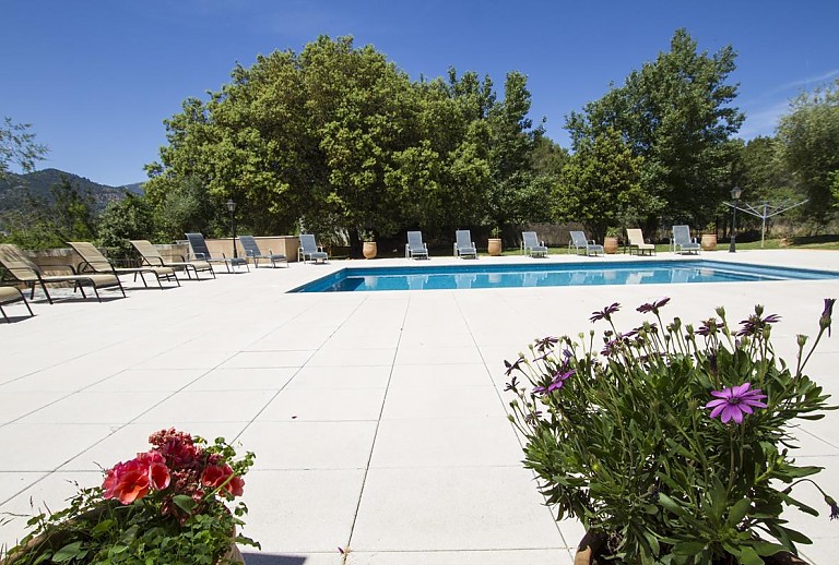 Topfpflanzen im Außenbereich mit Pool vor der Finca