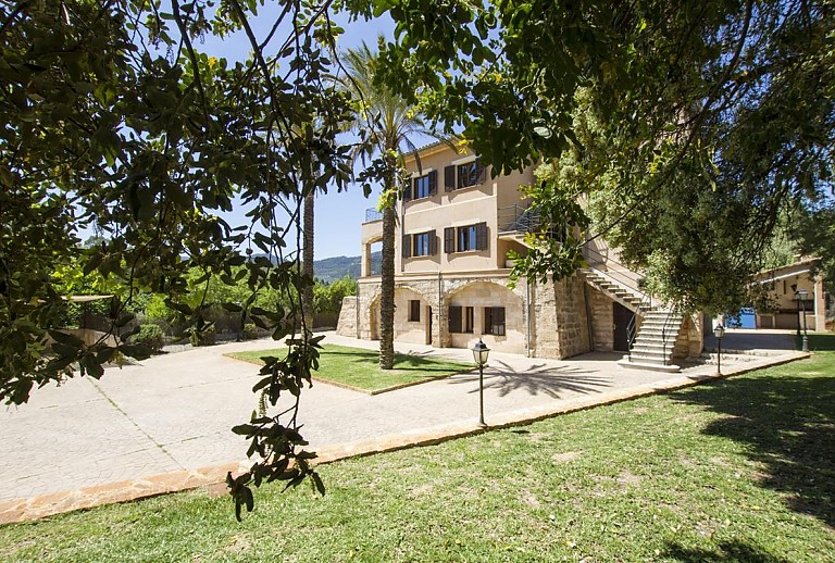 Baum und Rasen vor der Finca