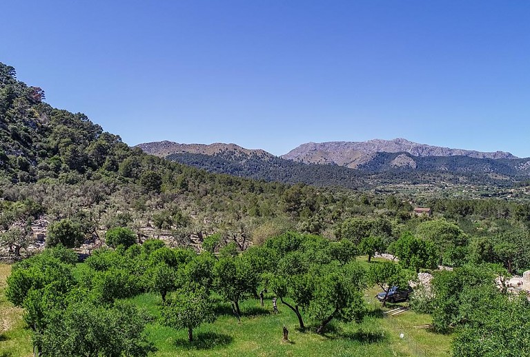 Umgebung der Finca