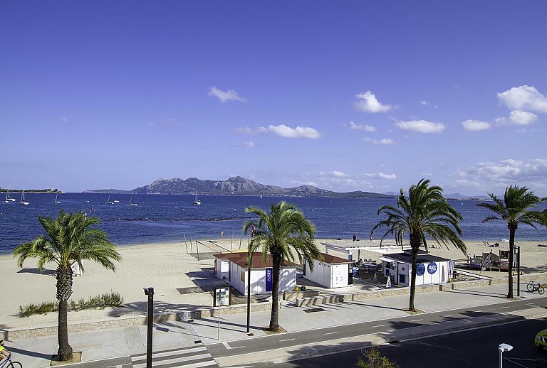Meerblick mit Strand und Palmen