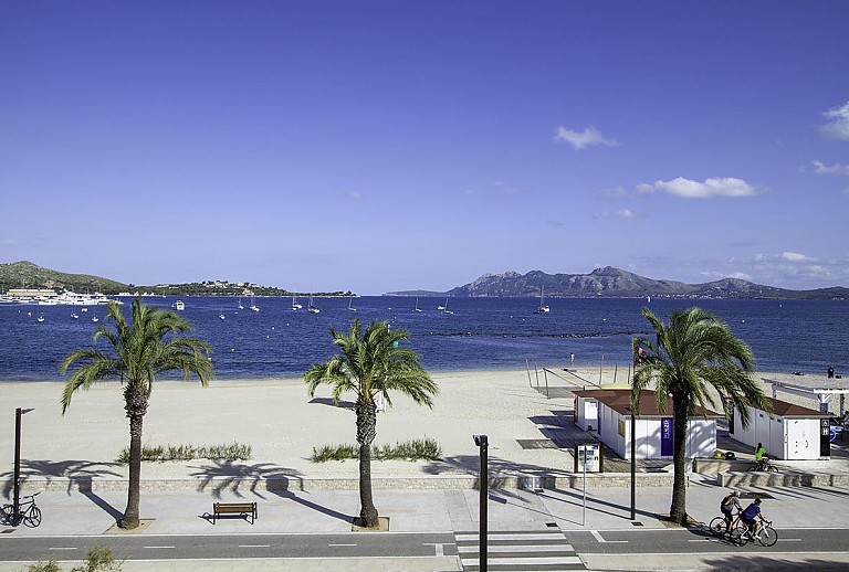 Meerblick mit Strand und Palmen