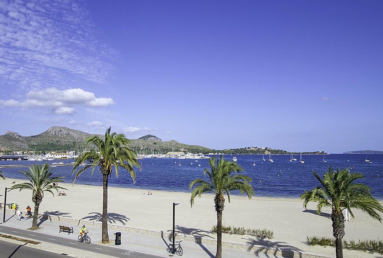 Meerblick mit Strand und Palmen