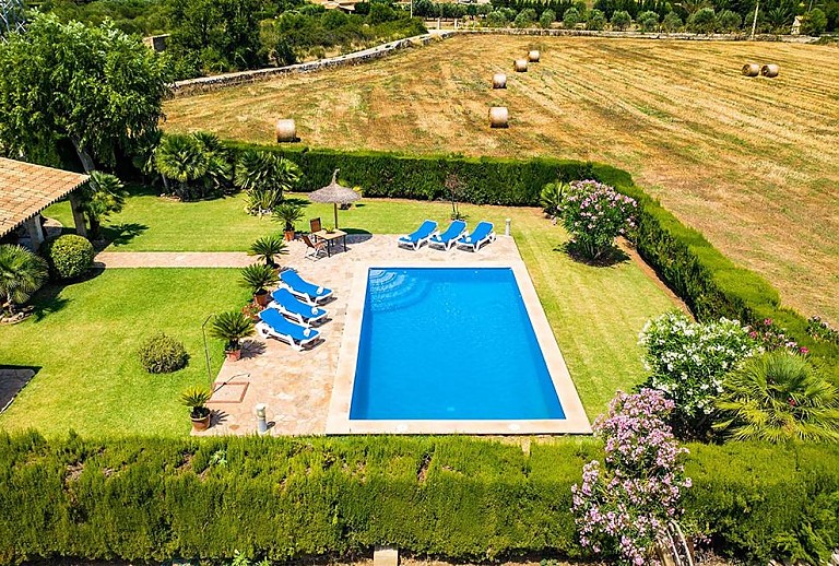 Pool im Garten mit Rasen