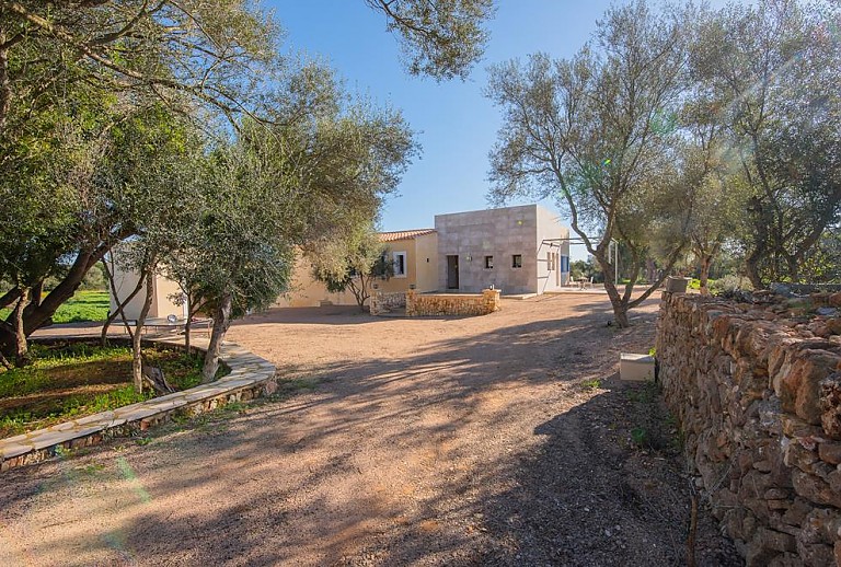Zufahrt zur Finca mit Bäumen