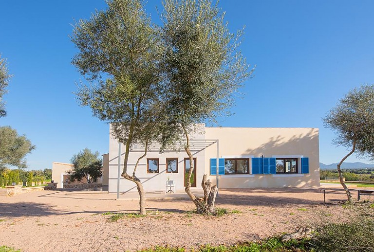 Bäume auf dem Vorplatz und Finca