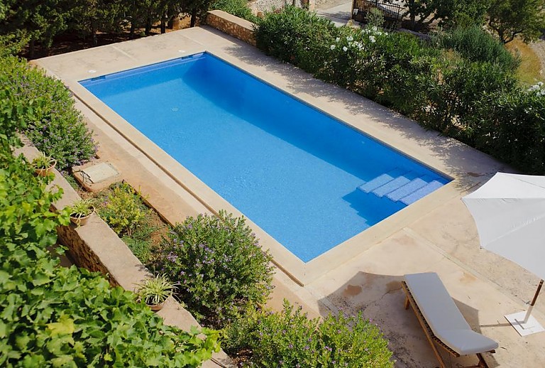Blick auf den Pool mit Sonnenliegen