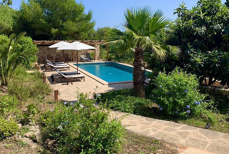 Schwimmring im Pool mit Sonnenliegen und Sonnenschirm