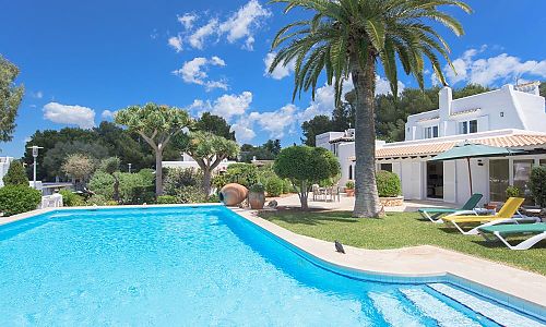 Palme und Pool mit Sonnenliegen vor dem Ferienhaus