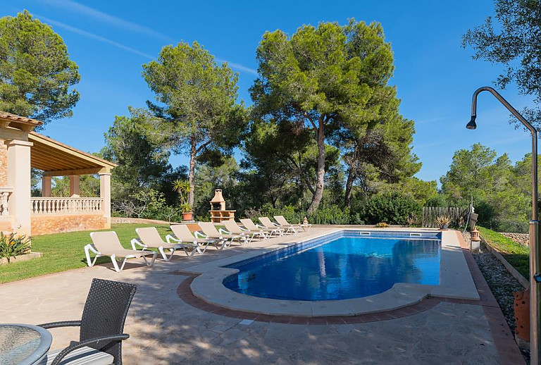 Garten mit Bäumen am Pool mit Sonnenliegen 