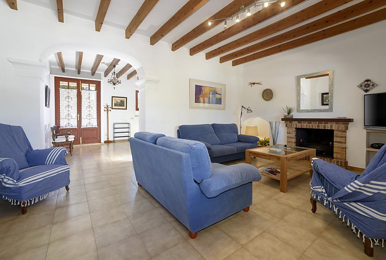Wohnzimmer mit Kamin und Sofas