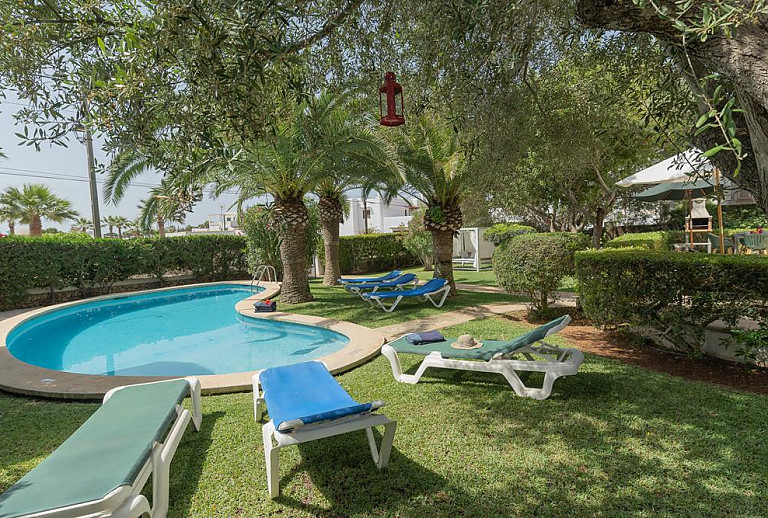 Bäume und Poolliegen am Pool