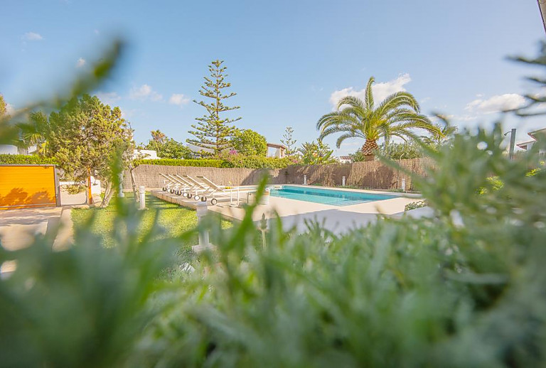 Bäume und Rasen am Pool