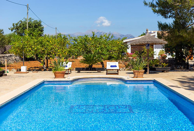 Pool mit Sonnenliegen vor dem Ferienhaus