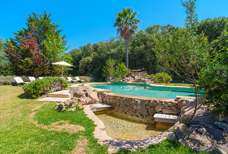Rasen im Garten mit Pool